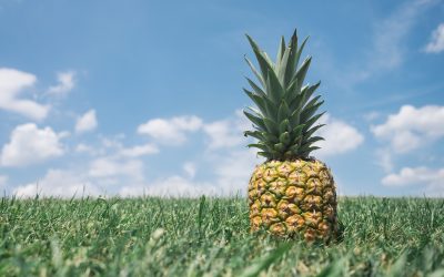 UK Fruit Shortage Due to Calais Crisis