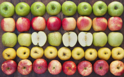 10 Facts You Never Knew About Apples