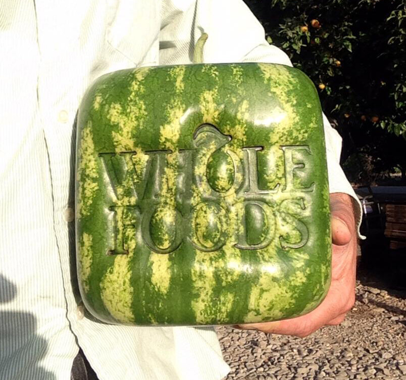 brand melon