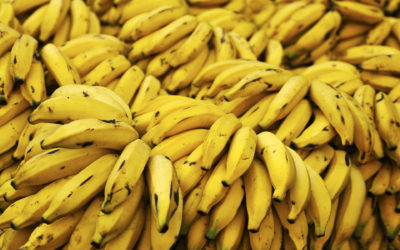 Why do Bananas go brown and ripen other fruit?