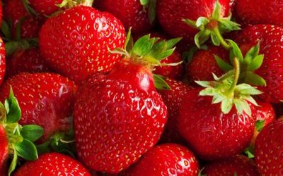 Strawberries and Tennis equaled Win Win Win !!!