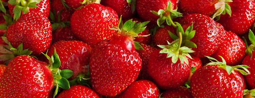 Fruit delivery of strawberries for office or home
