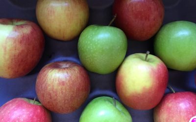 Weird Facts About Apples We’re Sure You Won’t Know